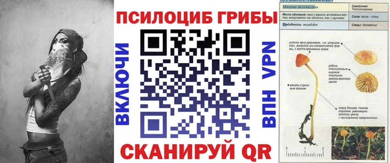 Купить где  Карачаевск  Галлюциногенные грибы мицелий 